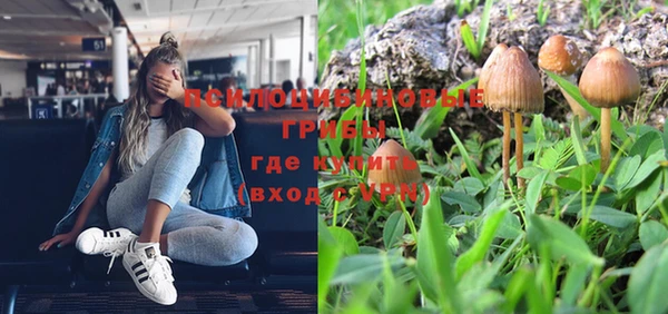 гашик Баксан