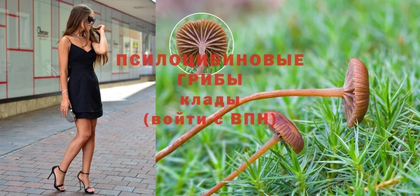 гашиш Белокуриха