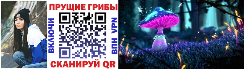 Псилоцибиновые грибы прущие грибы  Нижняя Тура 